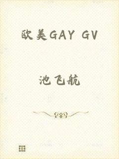 欧美GAY GV